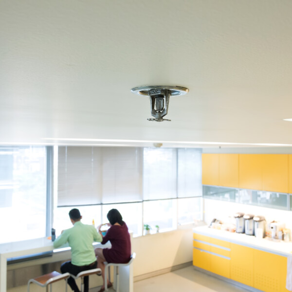 BAFSA launches owners and occupiers guide to sprinklers