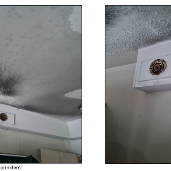 Sprinkler system halts flat fire in high-rise